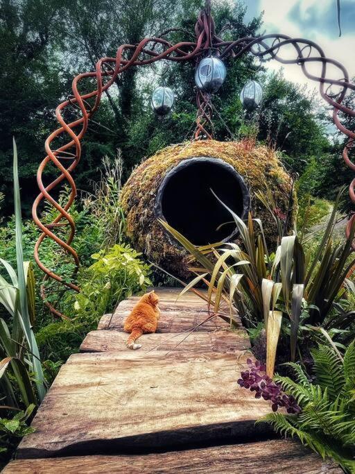 Truck & Pod Creative Nature Retreat. Bantry Extérieur photo